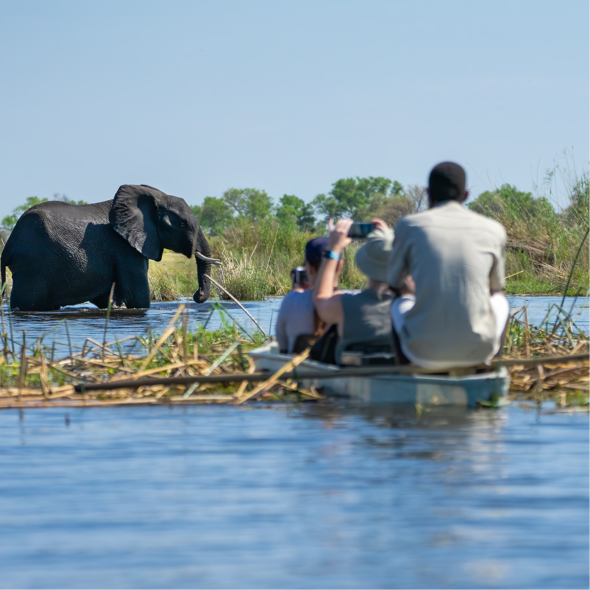 Mokoro Safaris