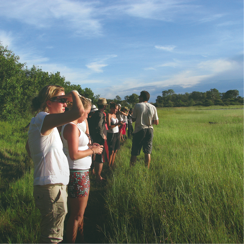 Walking Safaris