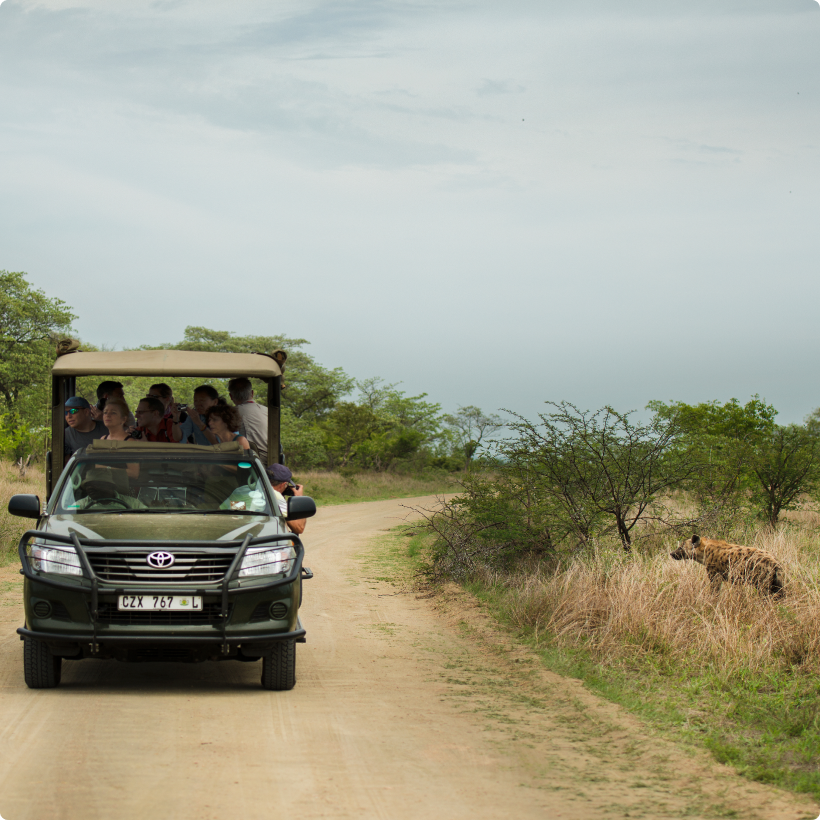 Game Drives
