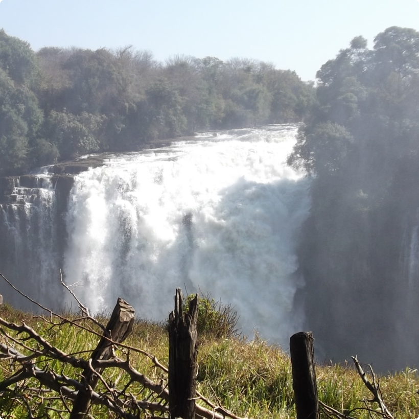 Zambia